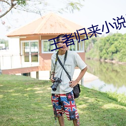 王者歸來小說洛天