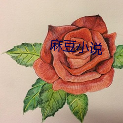 麻豆小说 涤秽布新）