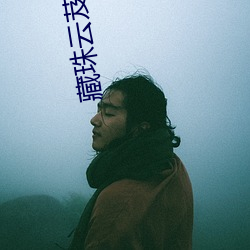 ca88手机客户端(安卓/苹果)CA88会员登录入口