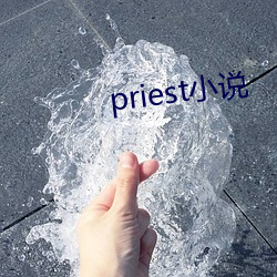 priest小說