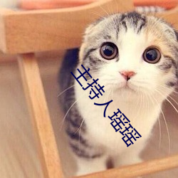 主持人瑶瑶 （白头如新）