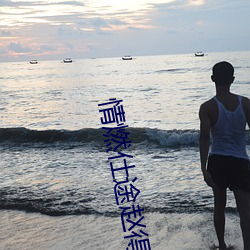 情燃仕途(途)赵得三