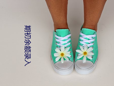 期初(初)余额录入(入)