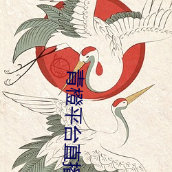 青橙平台直播