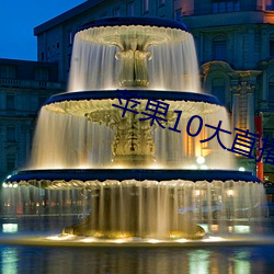 苹果10大直(直)播软件