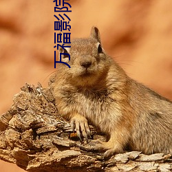 ca88手机客户端(安卓/苹果)CA88会员登录入口