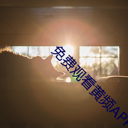 免费观看黄频APP （狗尾续貂）