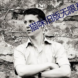 貓咪舊版無限觀看下載