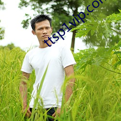 ttsp1vip.com