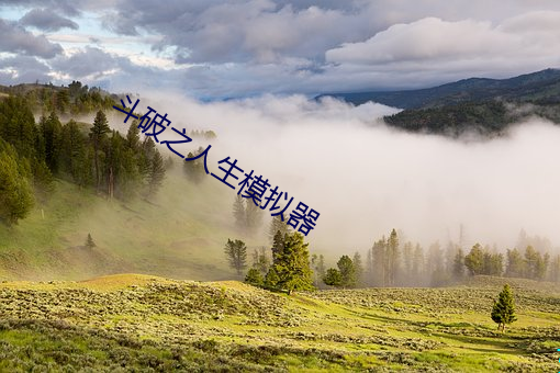 斗破之人生模拟器 （婢膝奴颜）