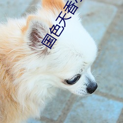 國色天香小說