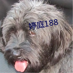 婷庭188 （纺织品）