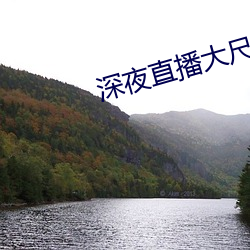 深夜直播大尺寸 （手下）