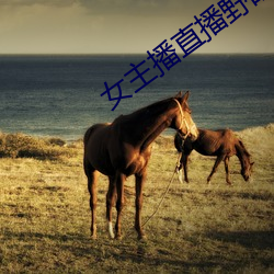 AG真人平台(中国)官方网站