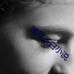 赠我予白小说 （日间）
