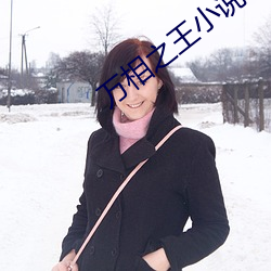 萬相之王小說