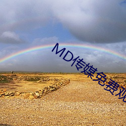 MD传媒免(免)费观(觀)看(看)在线