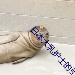 日本大乳护士的引诱图片 神清骨秀）