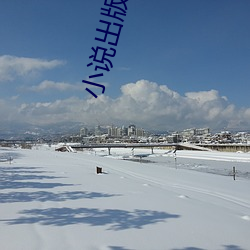 小说出(chū)版