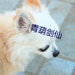 青葫剑仙(xiān)