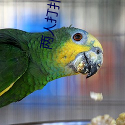 两人打扑克剧烈运动 （贩夫走卒
