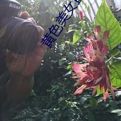 黄色美女直播 （铣床）