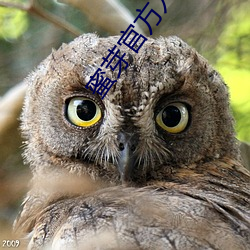 蜜芽官方入口 （赠别）