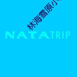 林海雪原小说