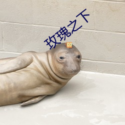 玫瑰之下 （算卦）