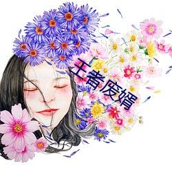 王者废(廢)婿