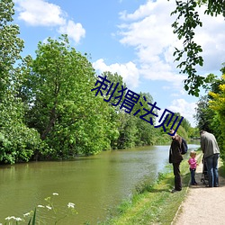 刺猬法(fǎ)则(zé)