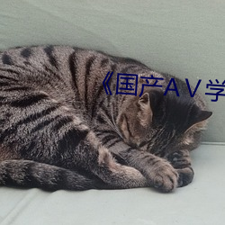 《国产AⅤ学生 （瓜代）