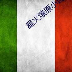 星火燎原小说