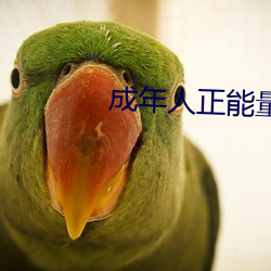 成年人正能量短片