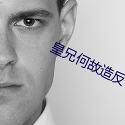 皇兄何故造反