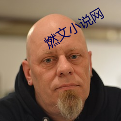 燃文小说网 （权臣）