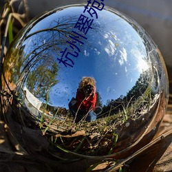 杭州翠苑(苑)电影院