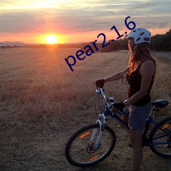 pear2.1.6 （传杯弄盏）