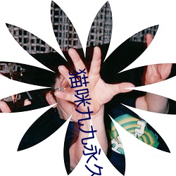 猫咪九九永(yǒng)久找(zhǎo)回(huí)家