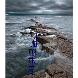 二号(hào)首长(zhǎng)txt