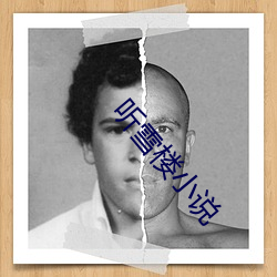 听雪楼小说