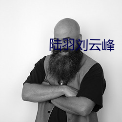 陆羽刘云峰
