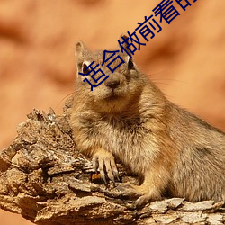 ca88手机客户端(安卓/苹果)CA88会员登录入口
