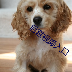 後宮視頻入口