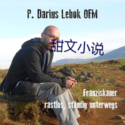 甜文小說