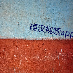 硬汉(hàn)视(shì)频app入(rù)口