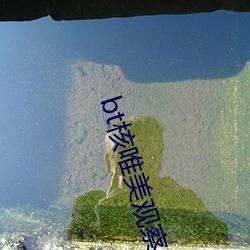 bt核唯美觀察