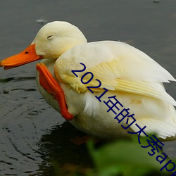 2021年(年)的大(大)秀(秀)app