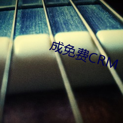 成免費CRM