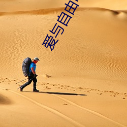爱与自由电影